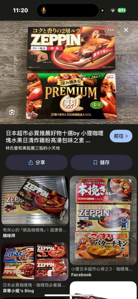 Glico 江崎格力高 ZEPPIN 絕品咖哩塊、Glico 江崎格力高 PREMIUM 熟成咖哩塊等