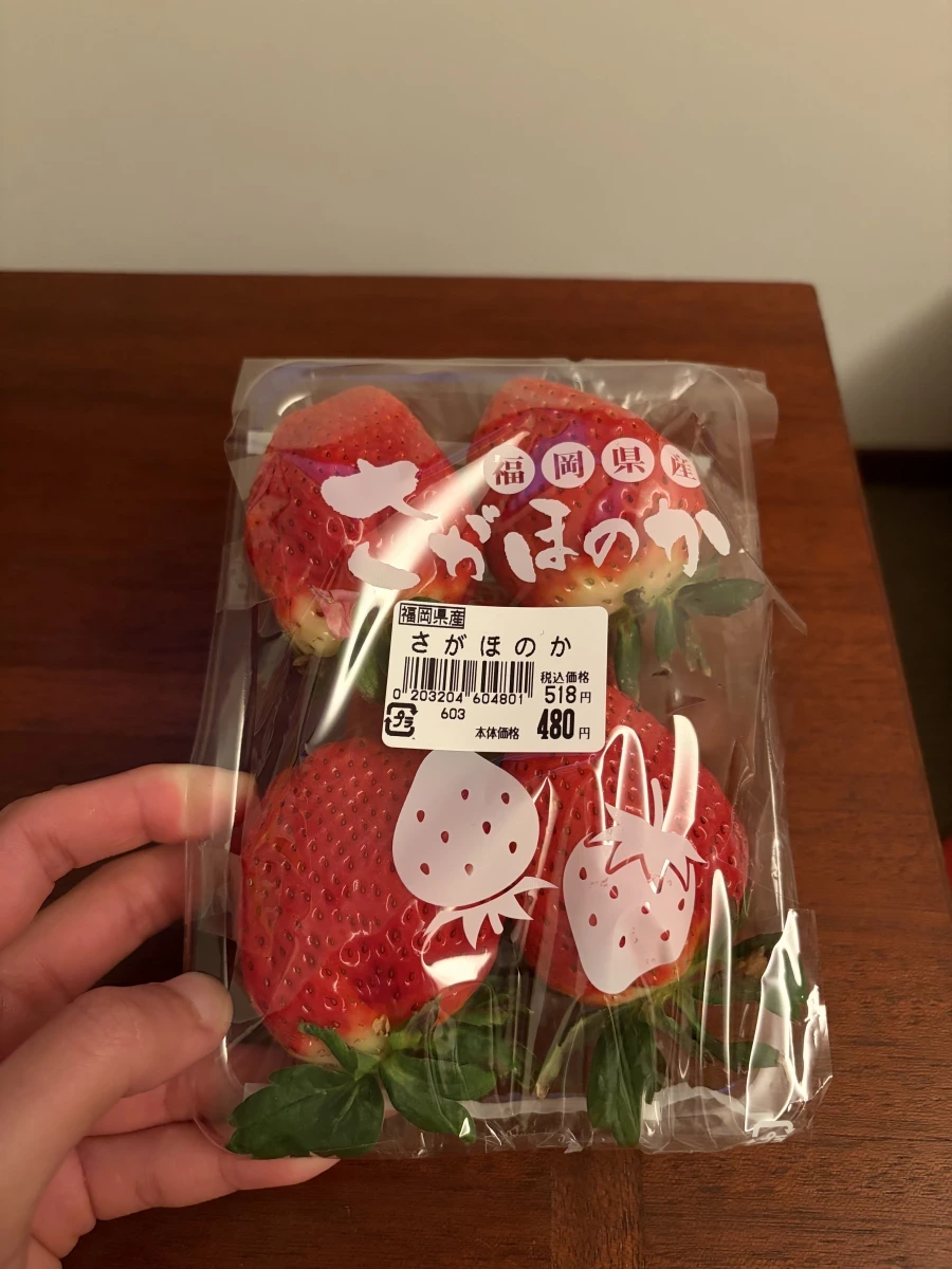 日本福岡縣產草莓