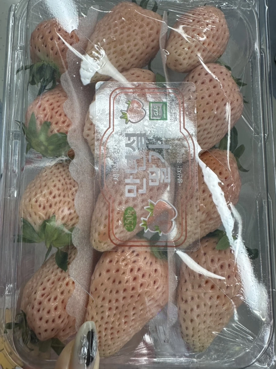 韓國萬年雪草莓