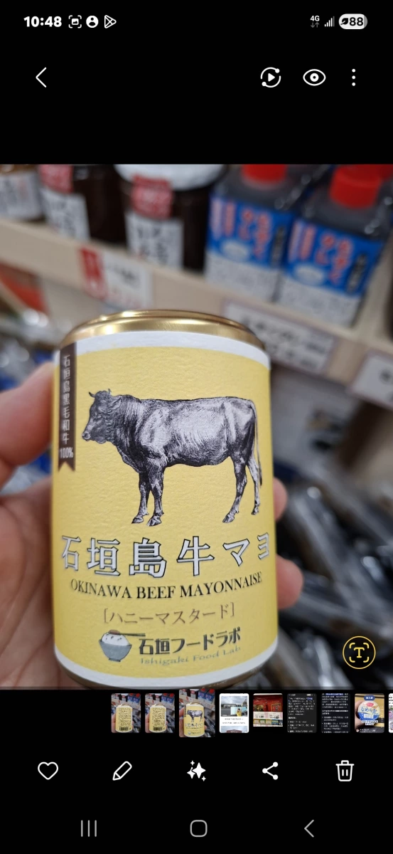石垣島牛肉美乃滋醬 (蜂蜜芥末口味)