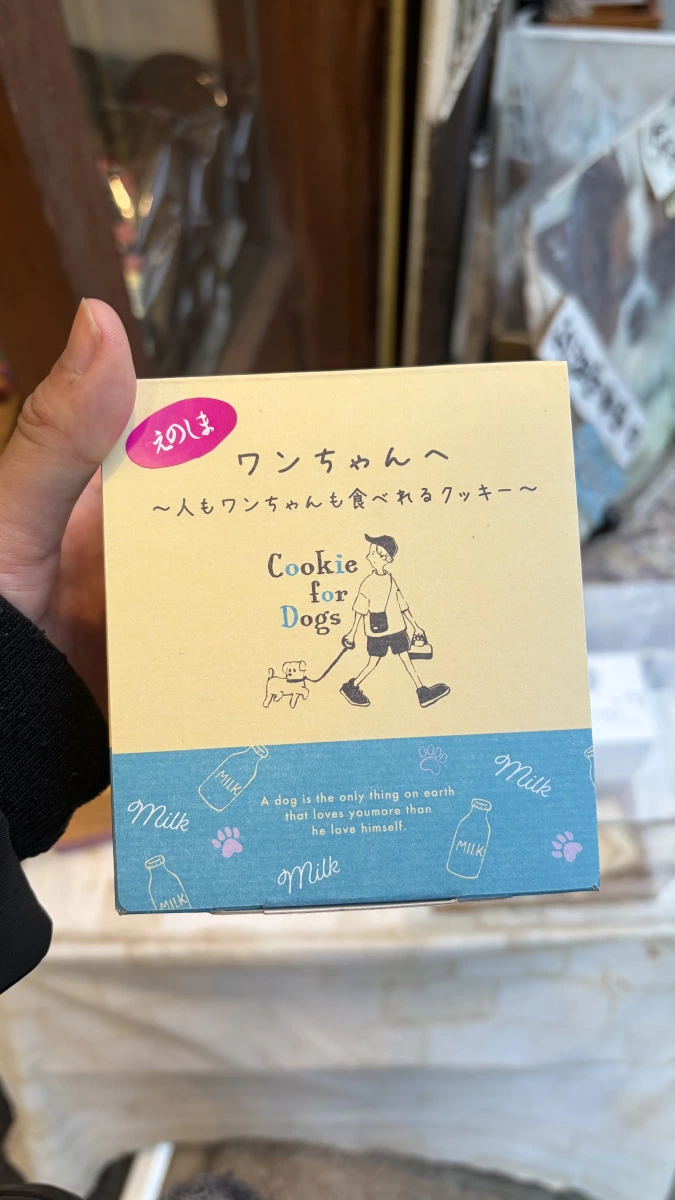 江之島人寵共食牛奶餅乾