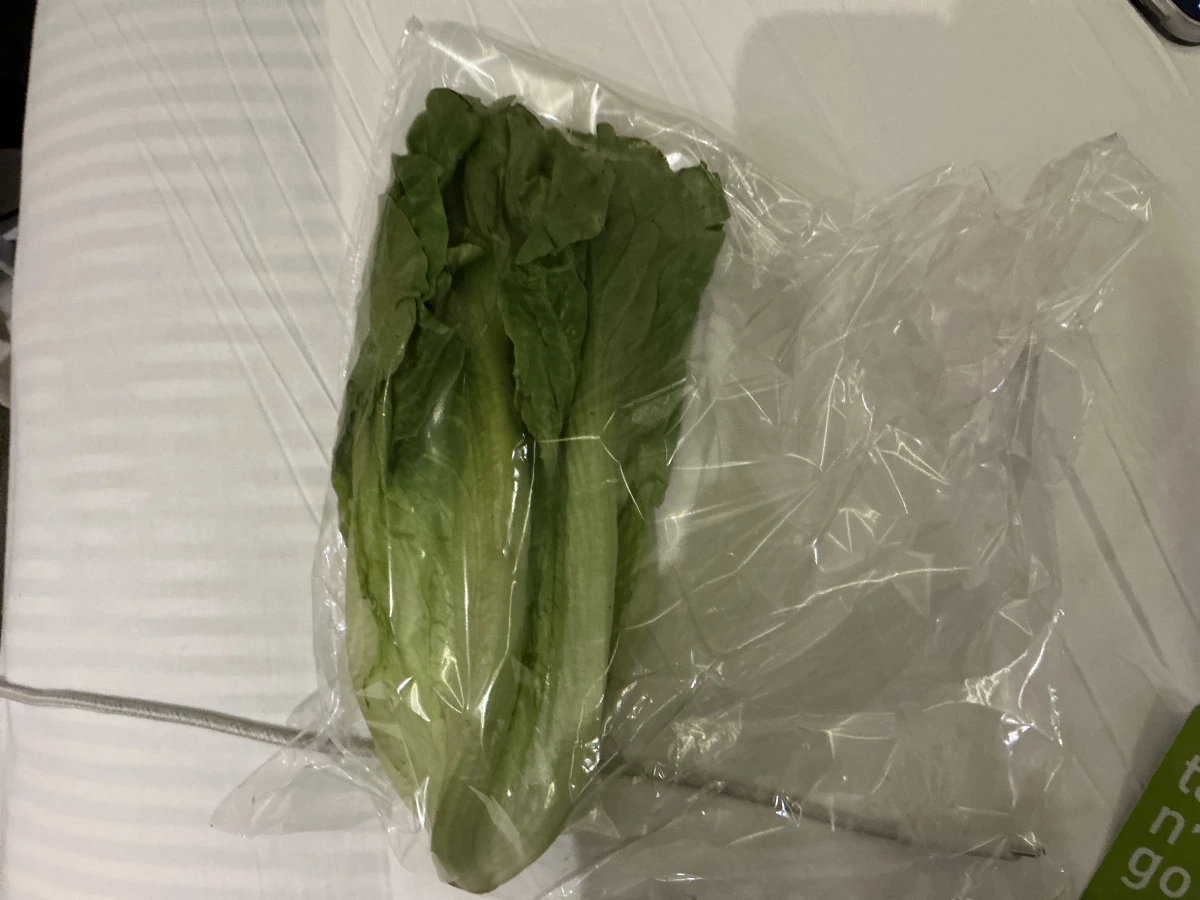 生鮮綠色葉菜