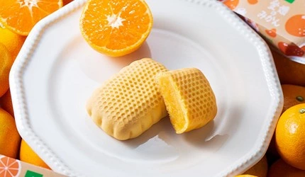 愛媛蜜柑烘焙糕點