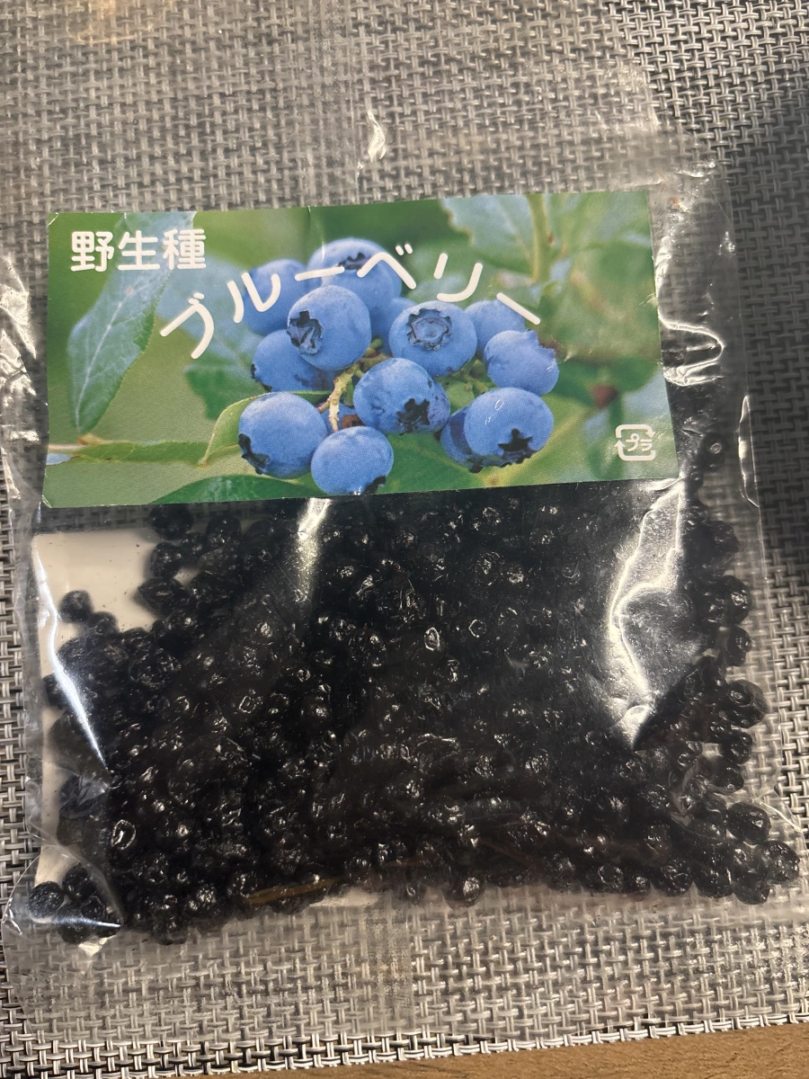 野生種乾燥藍莓