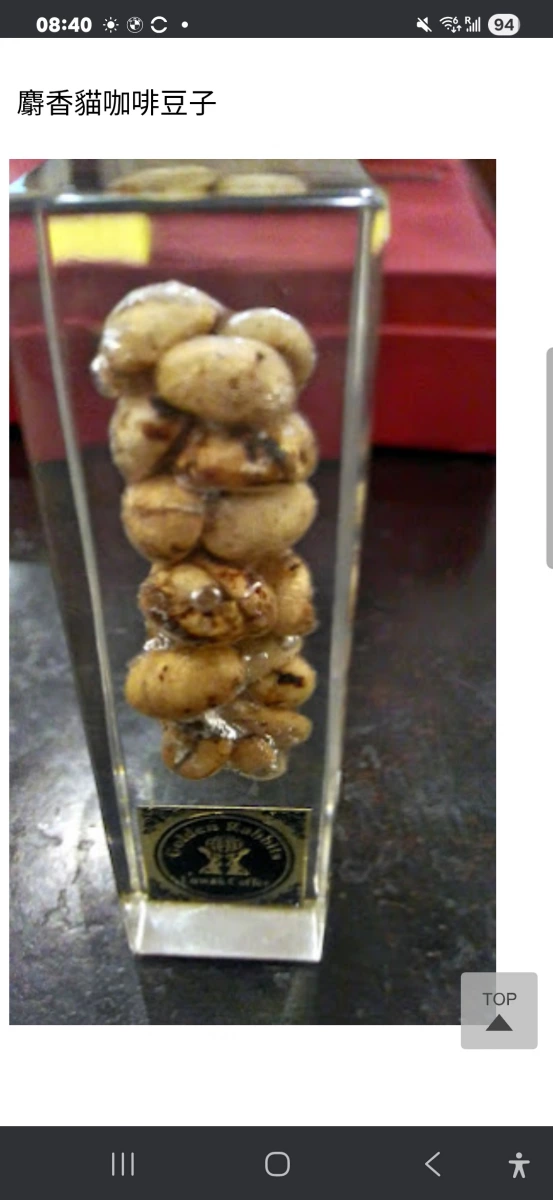 麝香貓咖啡禮盒 (Kopi Luwak Gift Set)