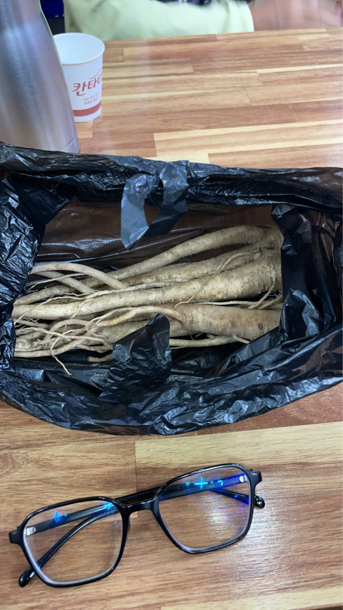 生鮮人參或植物根莖