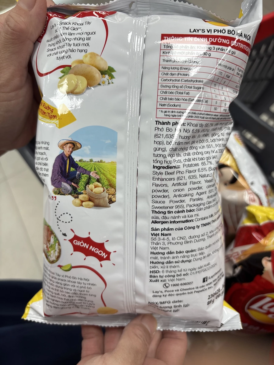 樂事越南河內牛肉河粉口味洋芋片