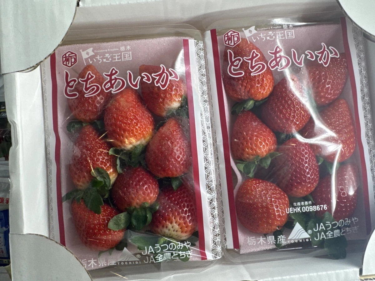 日本栃木縣生鮮草莓
