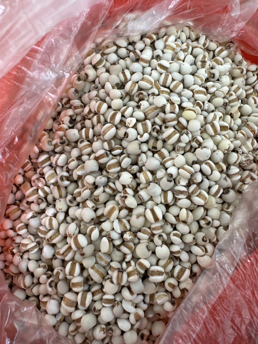 散裝薏苡仁（薏米）