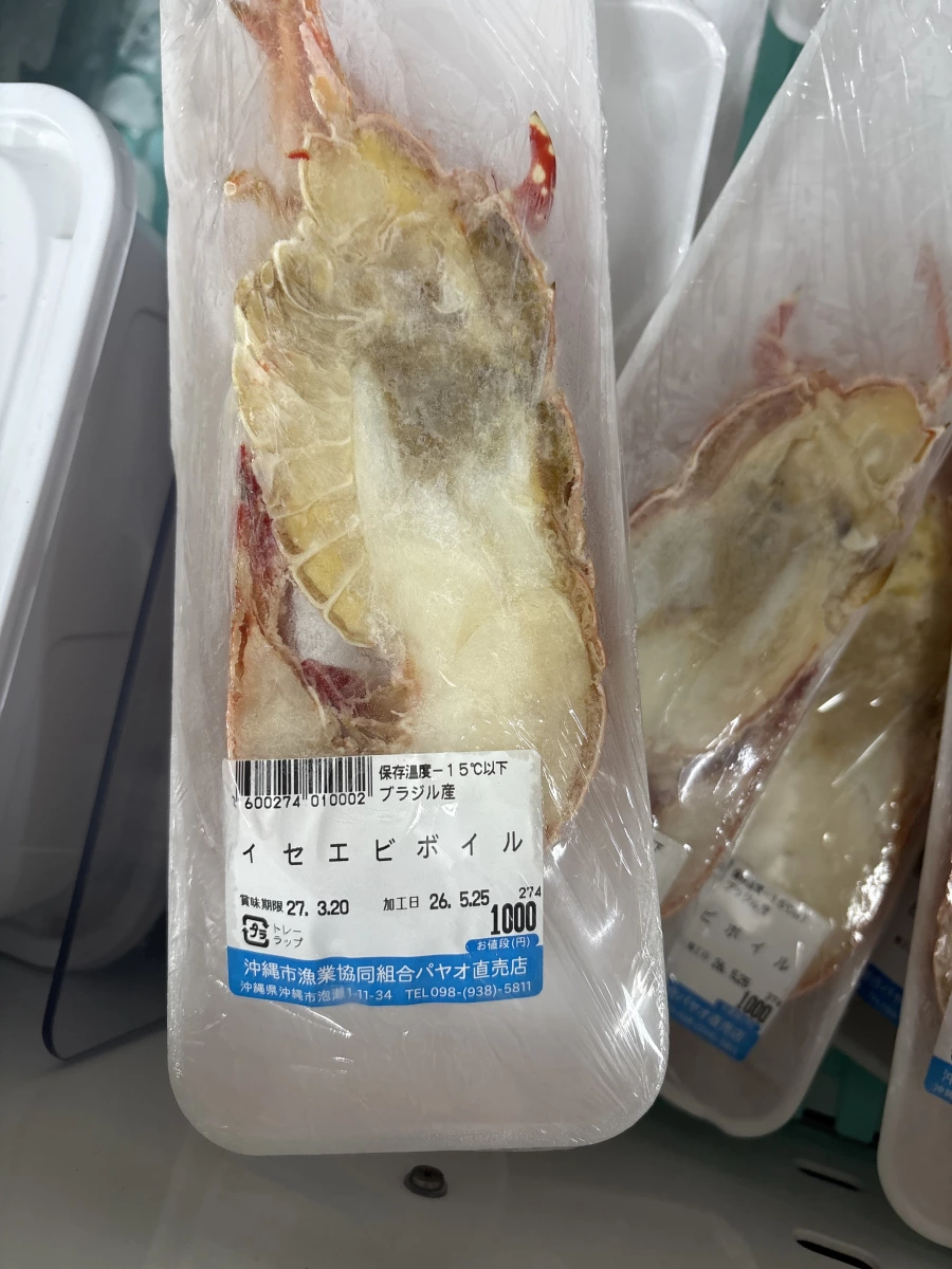 熟凍伊勢龍蝦