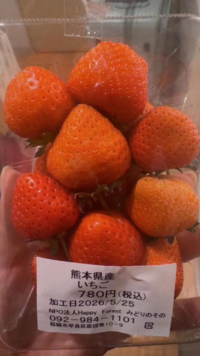 熊本縣產新鮮草莓