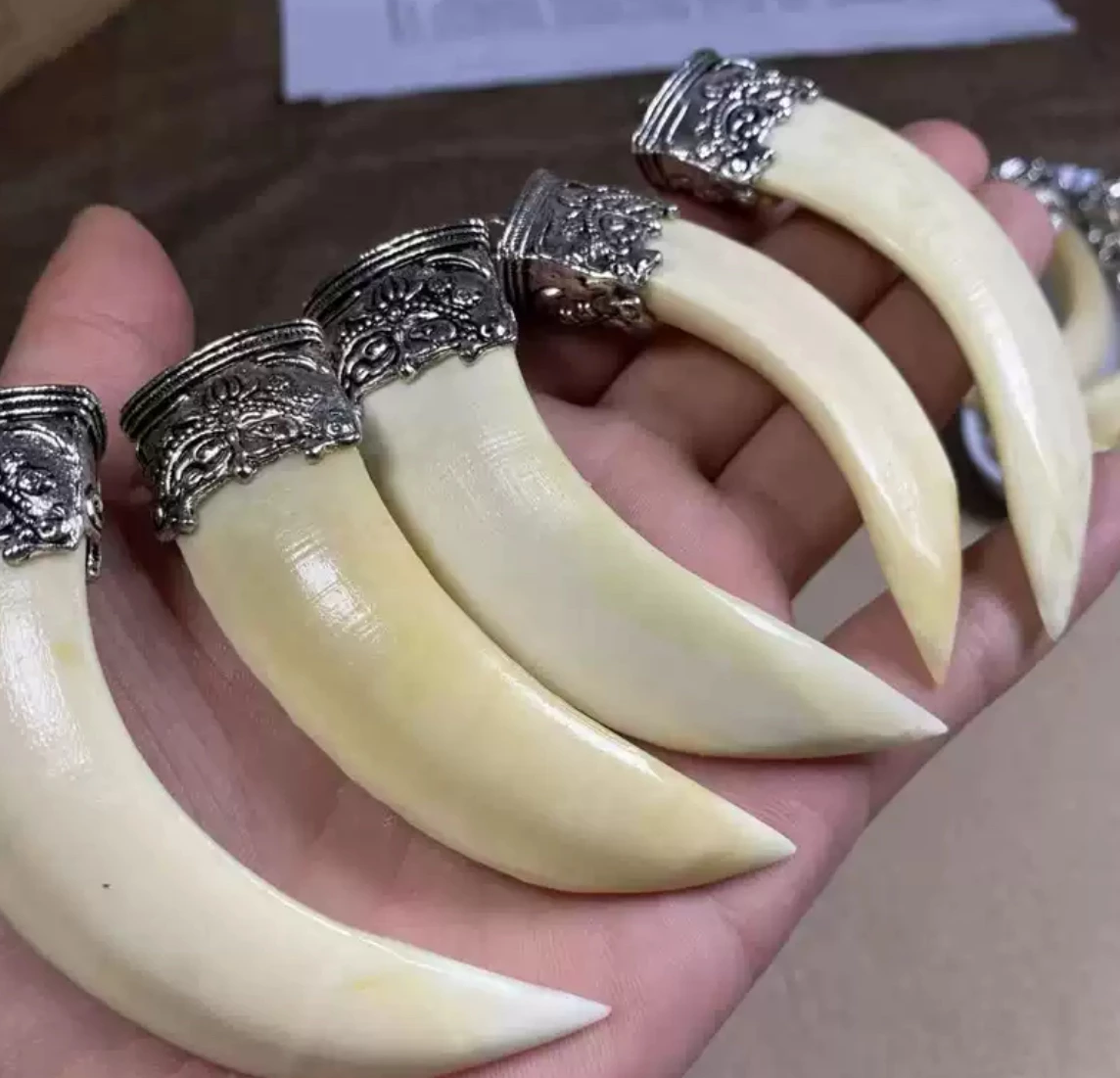 動物牙齒金屬裝飾品