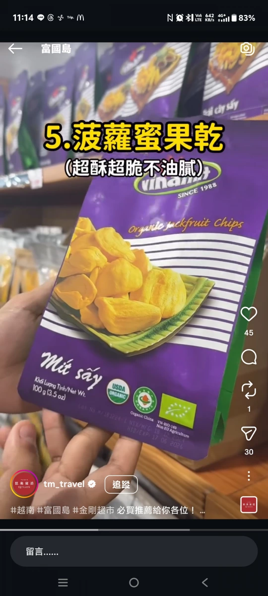 Vinamit 菠蘿蜜果乾