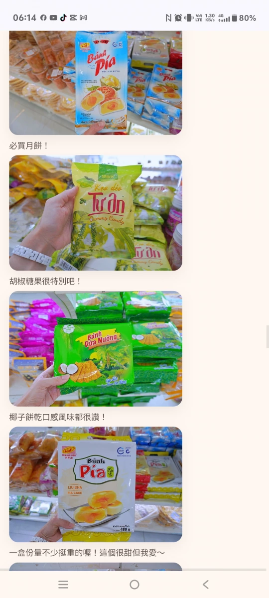 新東源 綠豆榴槤蛋黃朥餅 (Bánh Pía Đậu Xanh Sầu Riêng)