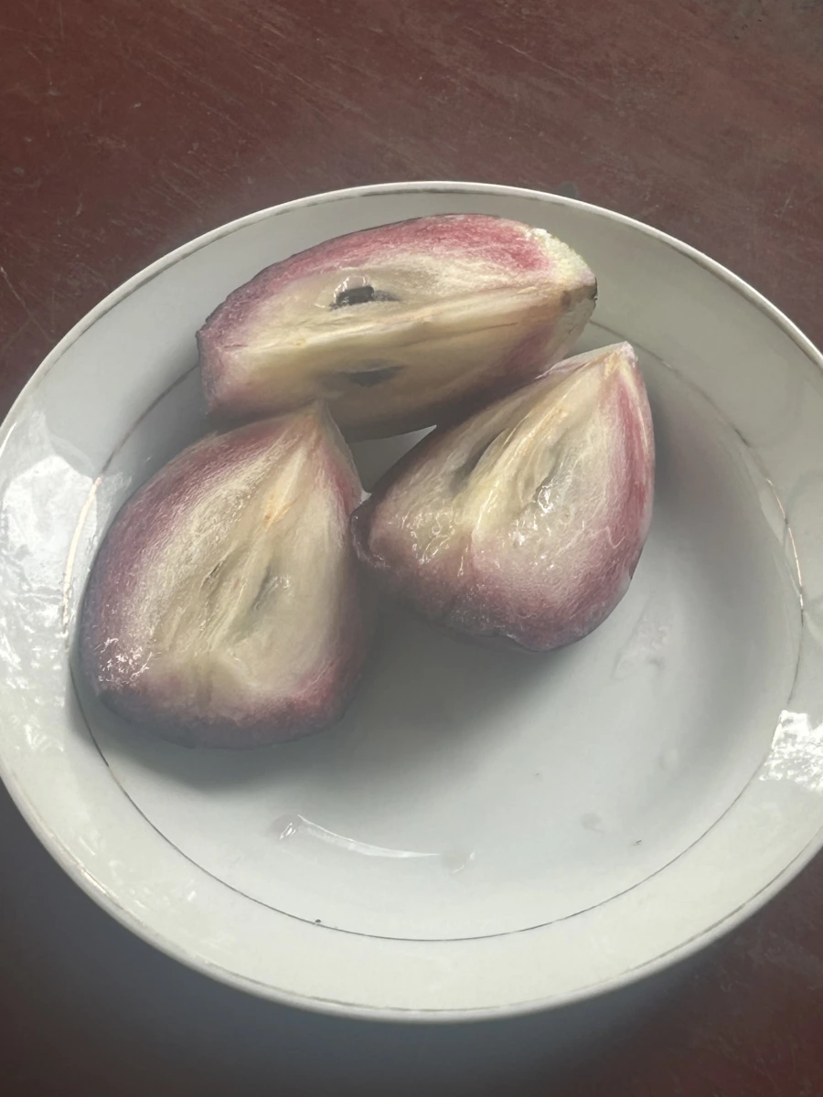 生鮮牛奶果（星蘋果）切片