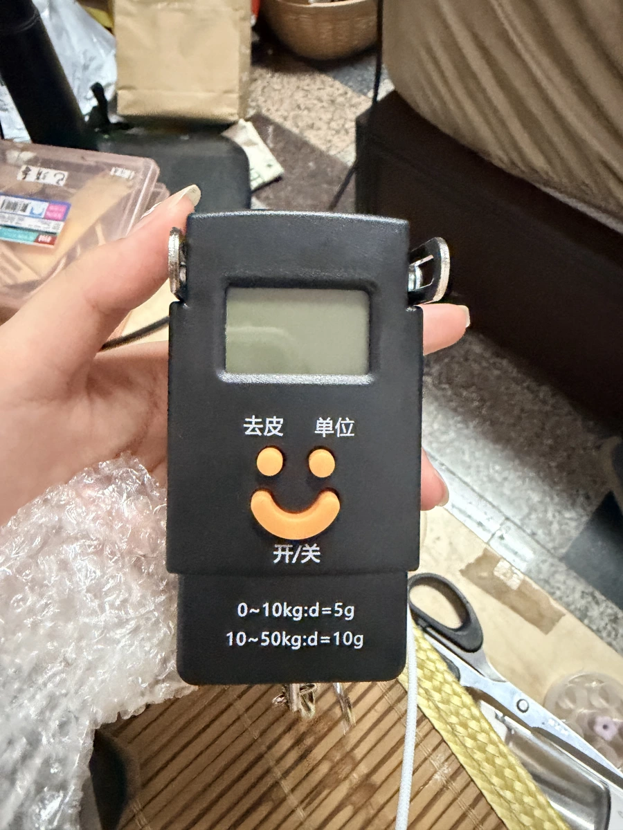 電子手提秤