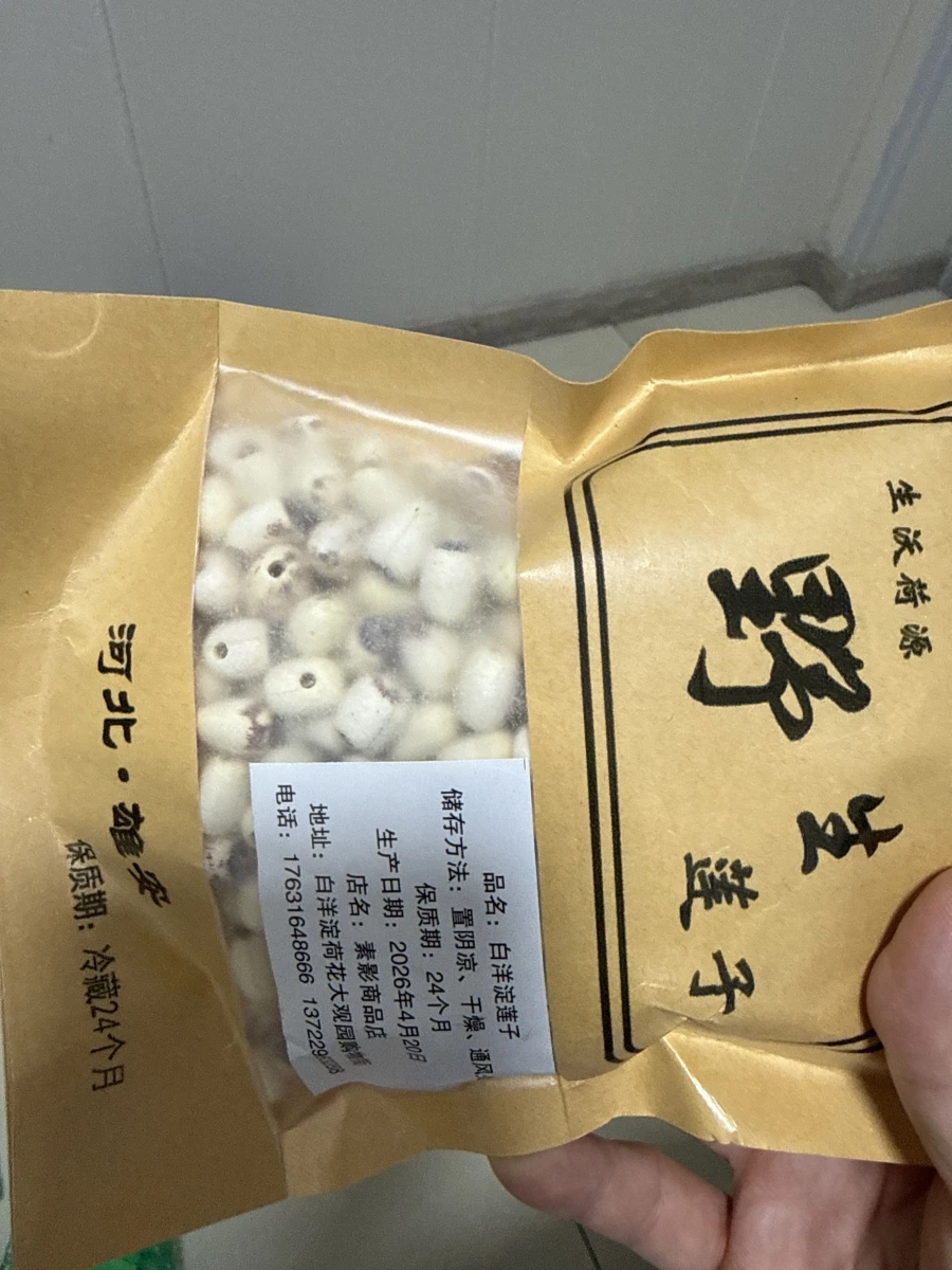 白洋澱野生蓮子
