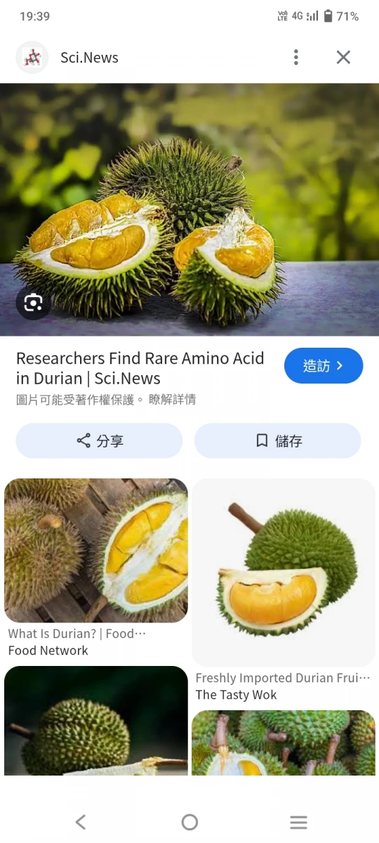 生鮮榴槤