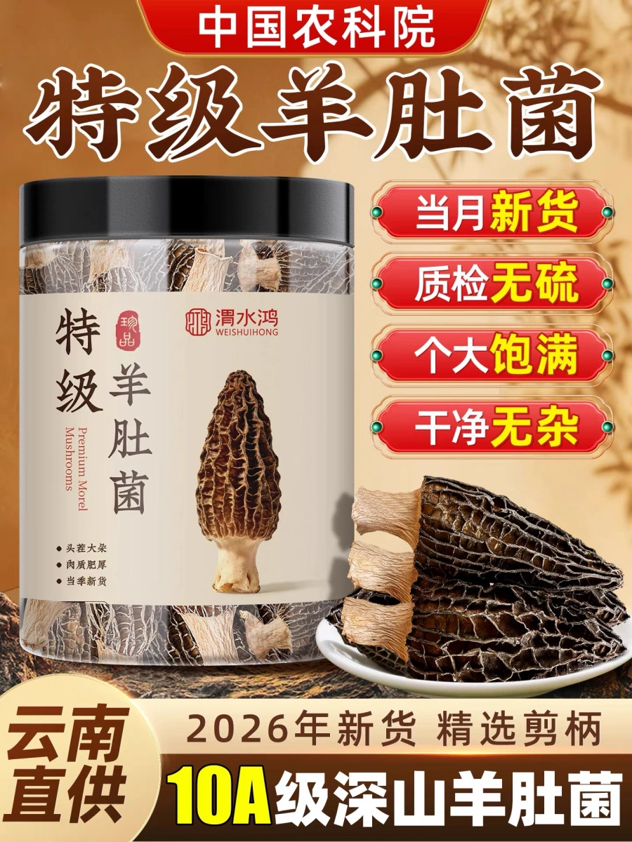 乾燥羊肚菌（乾貨）