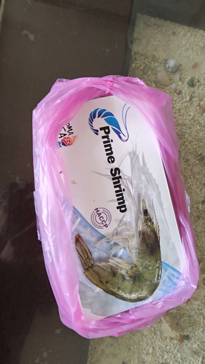 生鮮/冷凍蝦 (Prime Shrimp)
