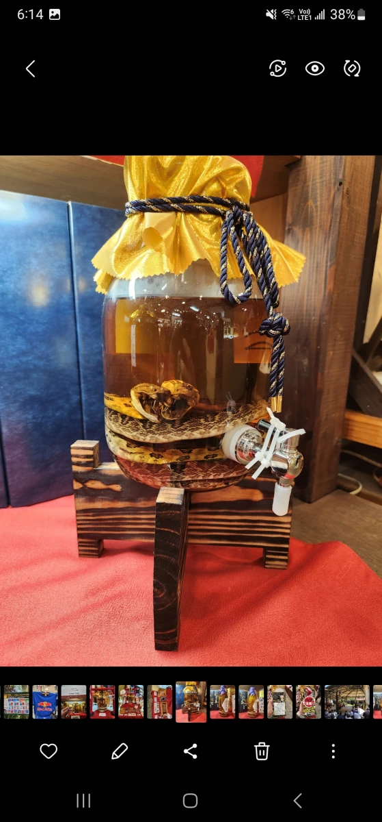 沖繩泡盛波布蛇酒 (Habushu)