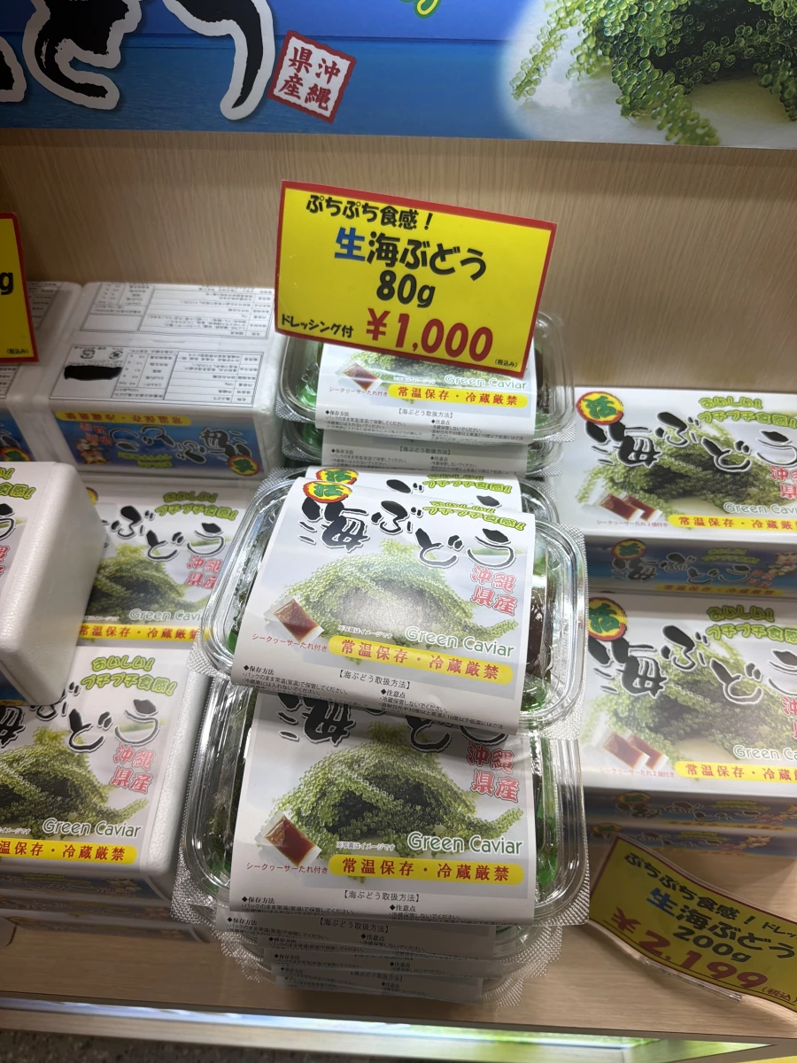 沖繩生海葡萄 (生海ぶどう)