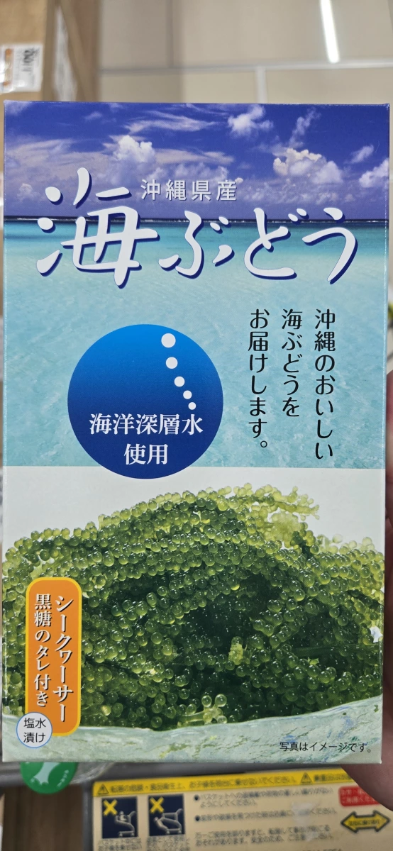 沖繩海葡萄 (海ぶどう)