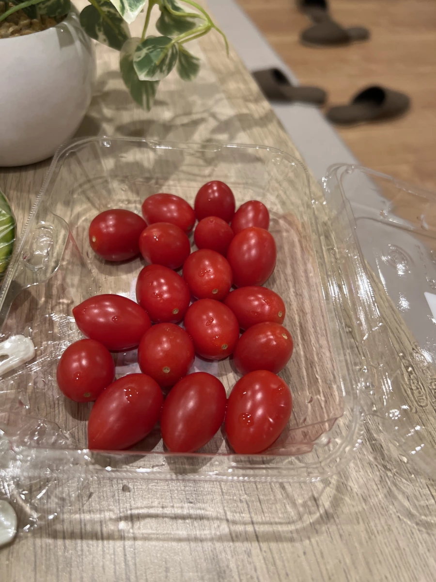 新鮮小番茄