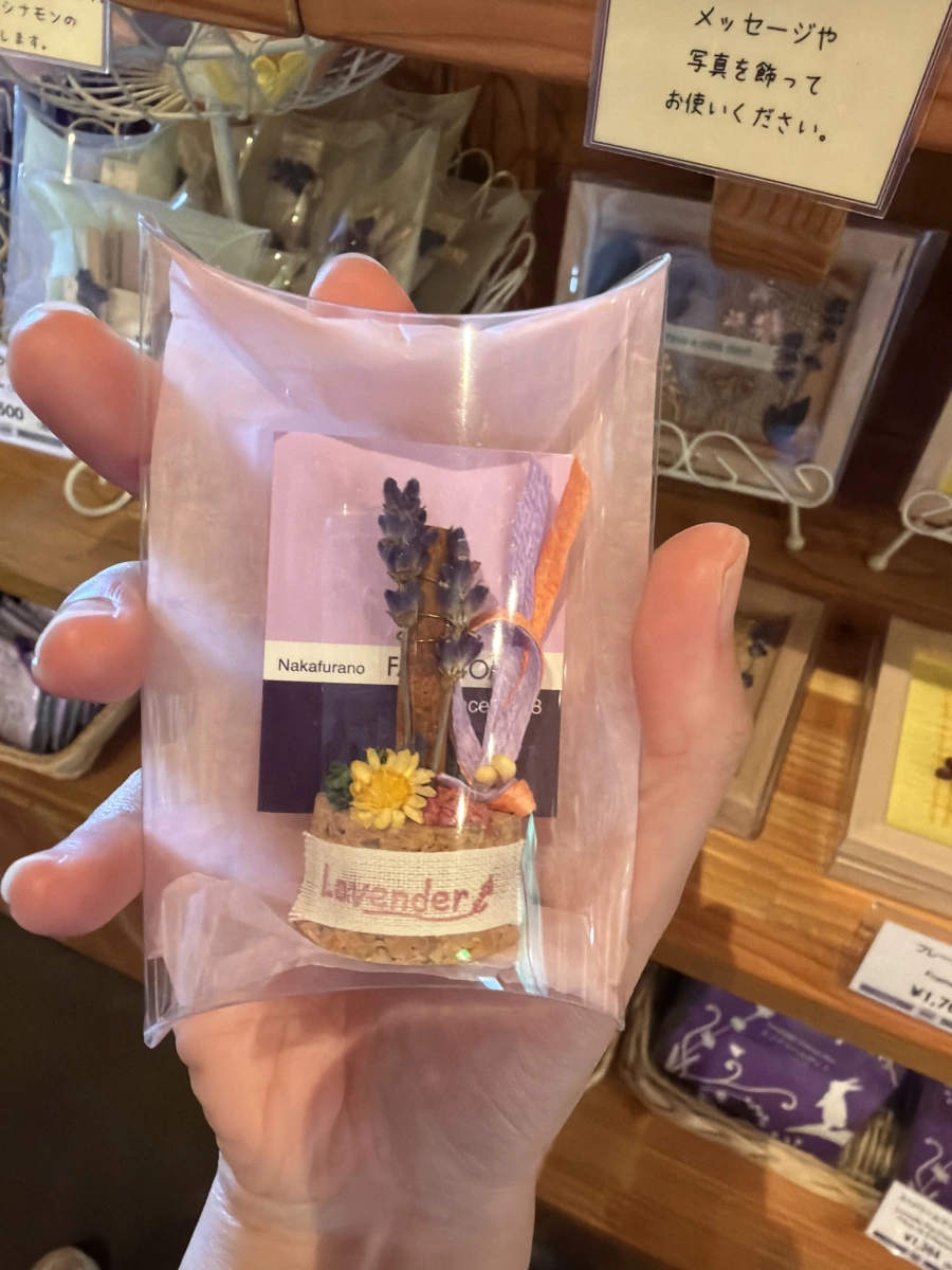 日本北海道乾燥薰衣草裝飾品