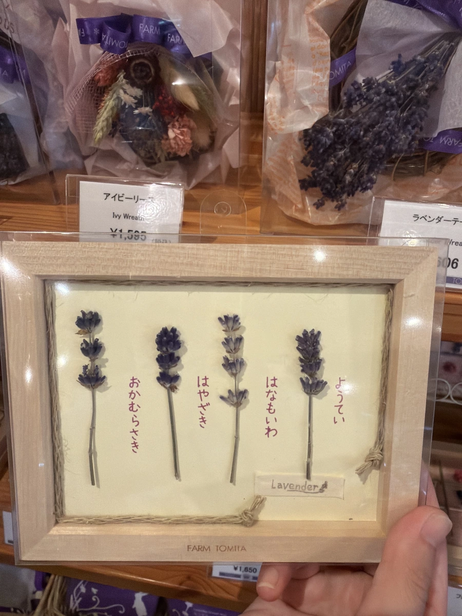 富田農場薰衣草乾燥花相框、乾燥花束/花圈