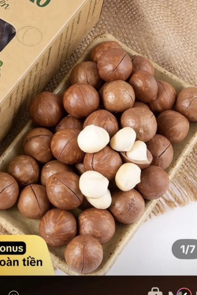 越南熟夏威夷豆 (Macadamia Nuts)