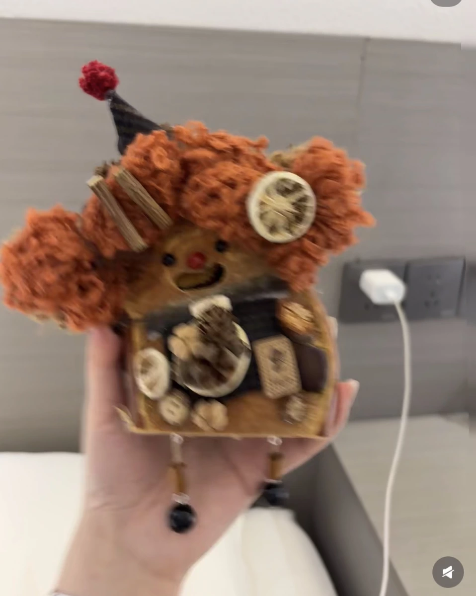 手作種子玩偶