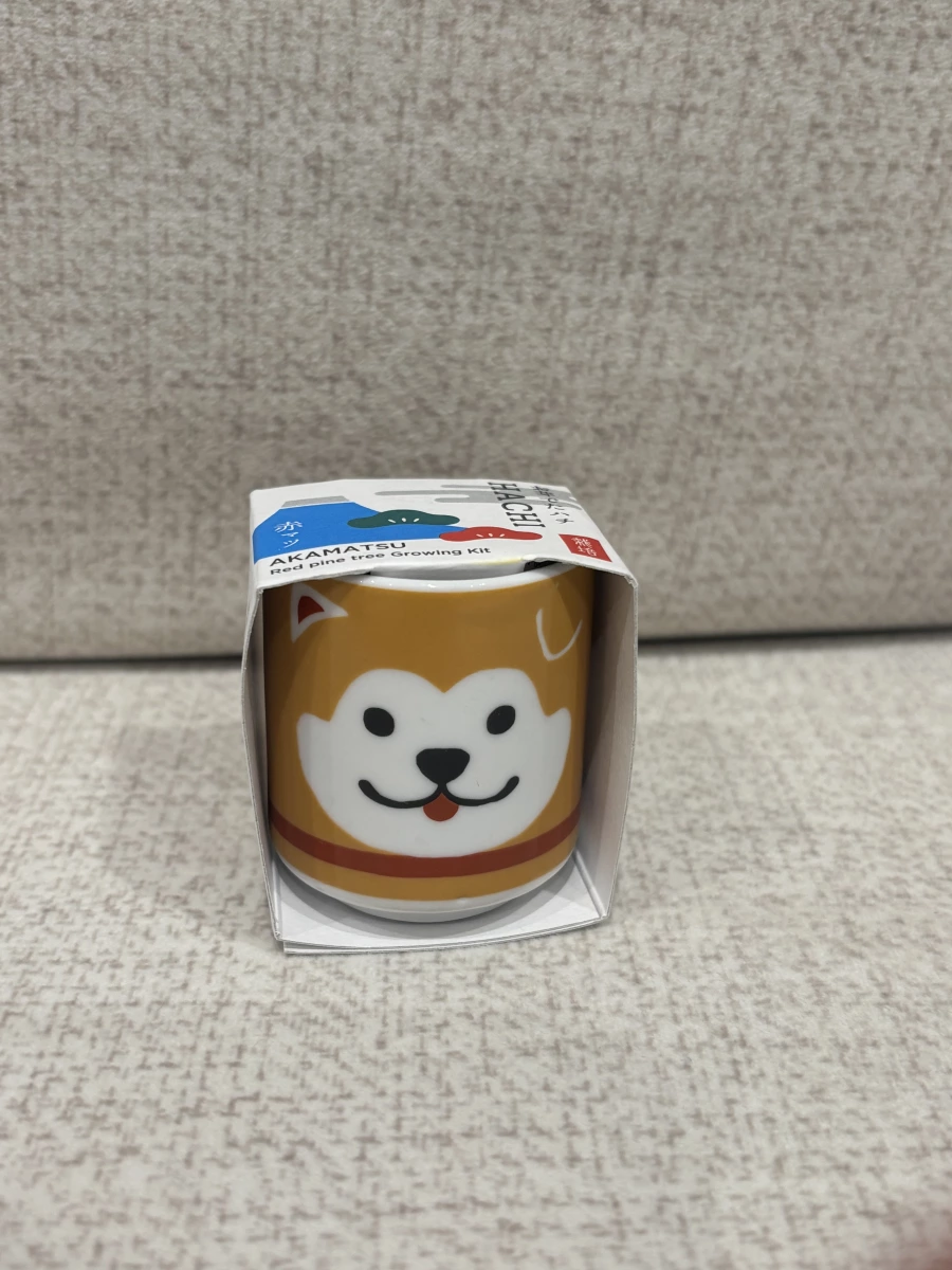 日本赤松種植組 (Red Pine Growing Kit)