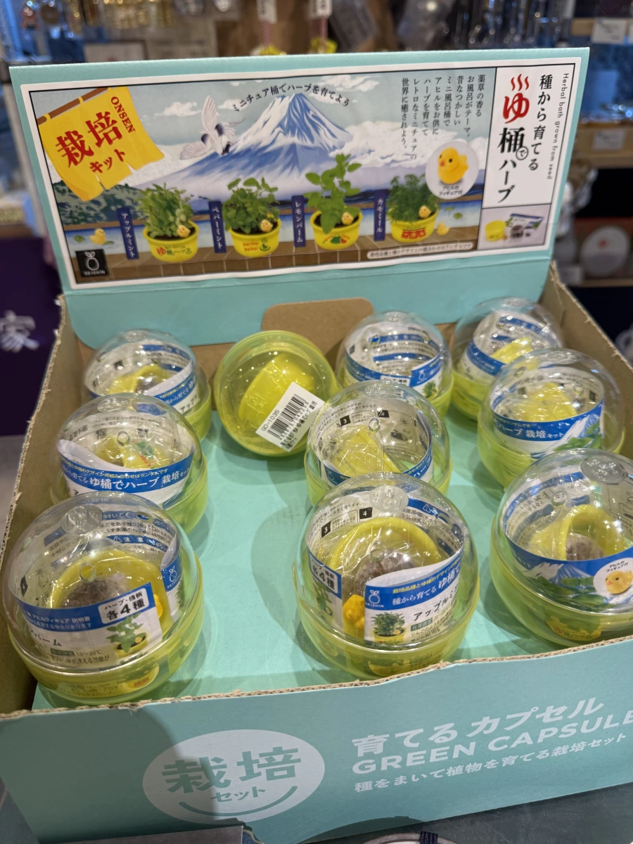 日本香草種子栽培扭蛋（栽培套裝）
