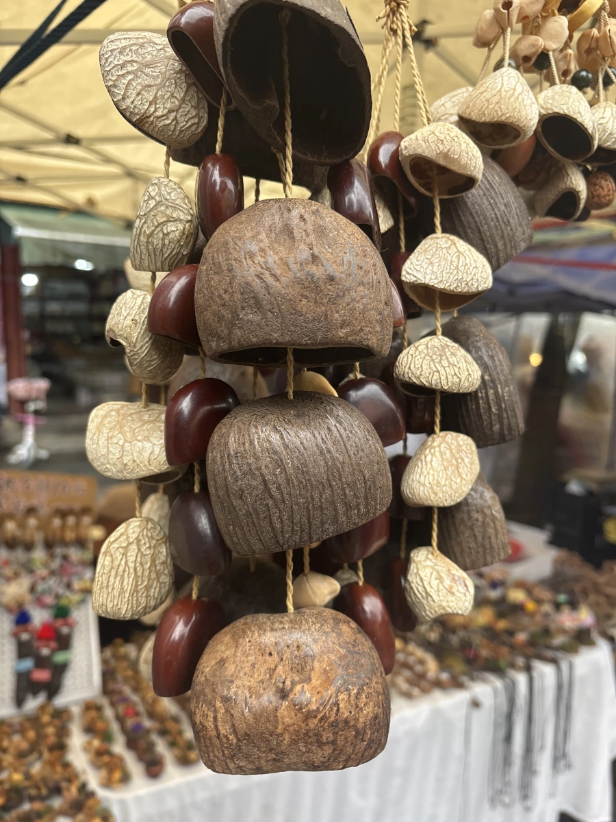 乾燥植物果殼工藝品