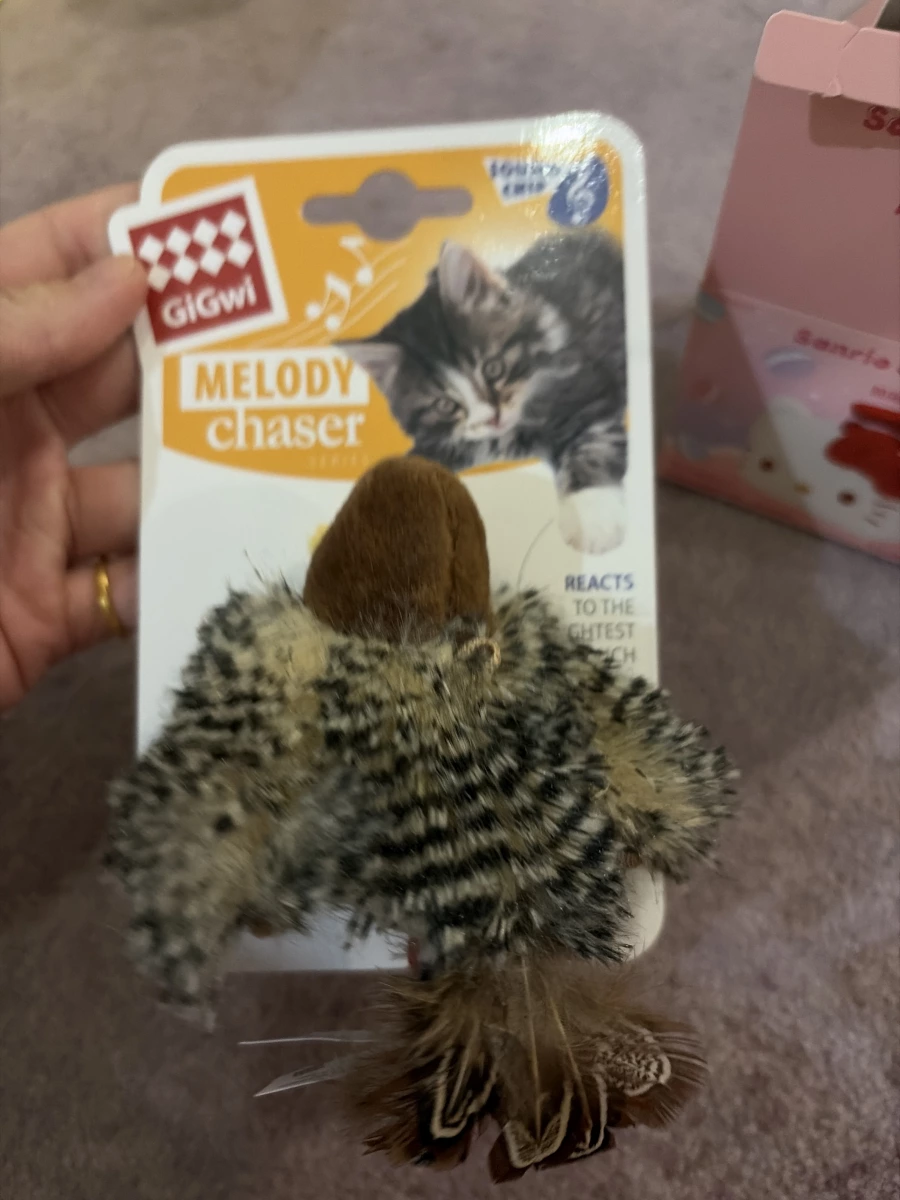 GiGwi Melody Chaser 寵物玩具