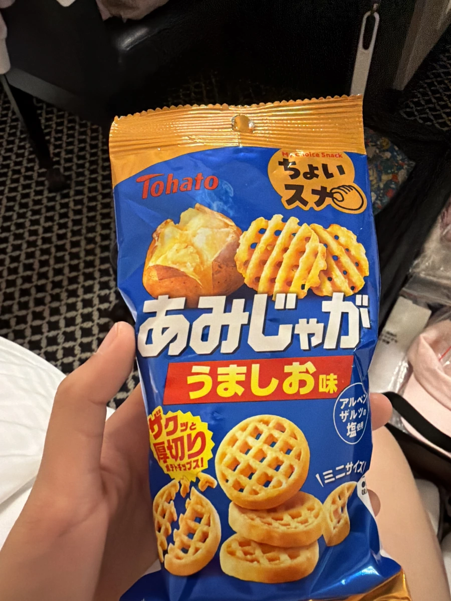 Tohato 東鳩 Amijaga 網狀薯片 (美味鹽味)