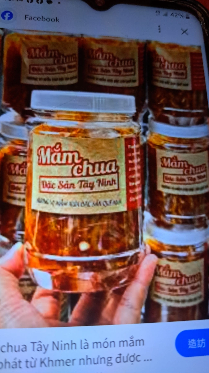越南西寧酸魚露 (Mắm chua Đặc Sản Tây Ninh)