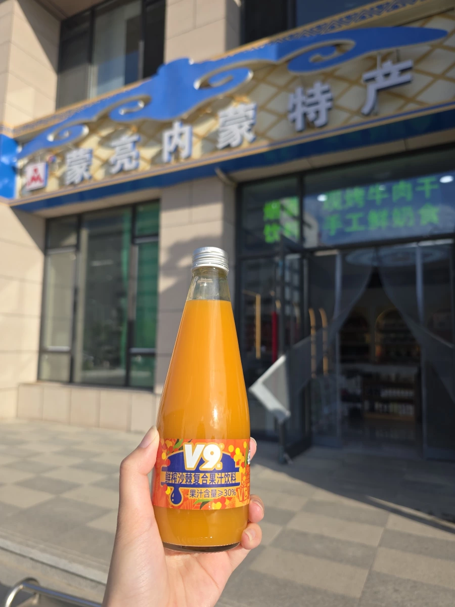 V9 鮮榨沙棘複合果汁飲料