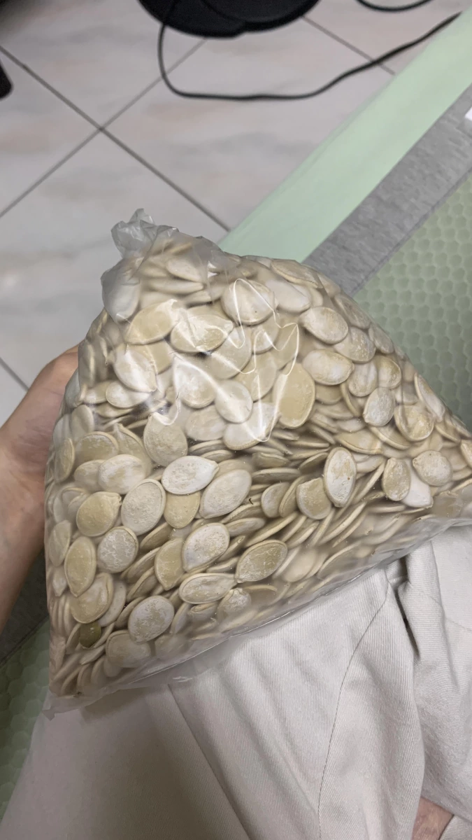 疑似南瓜子（帶殼）