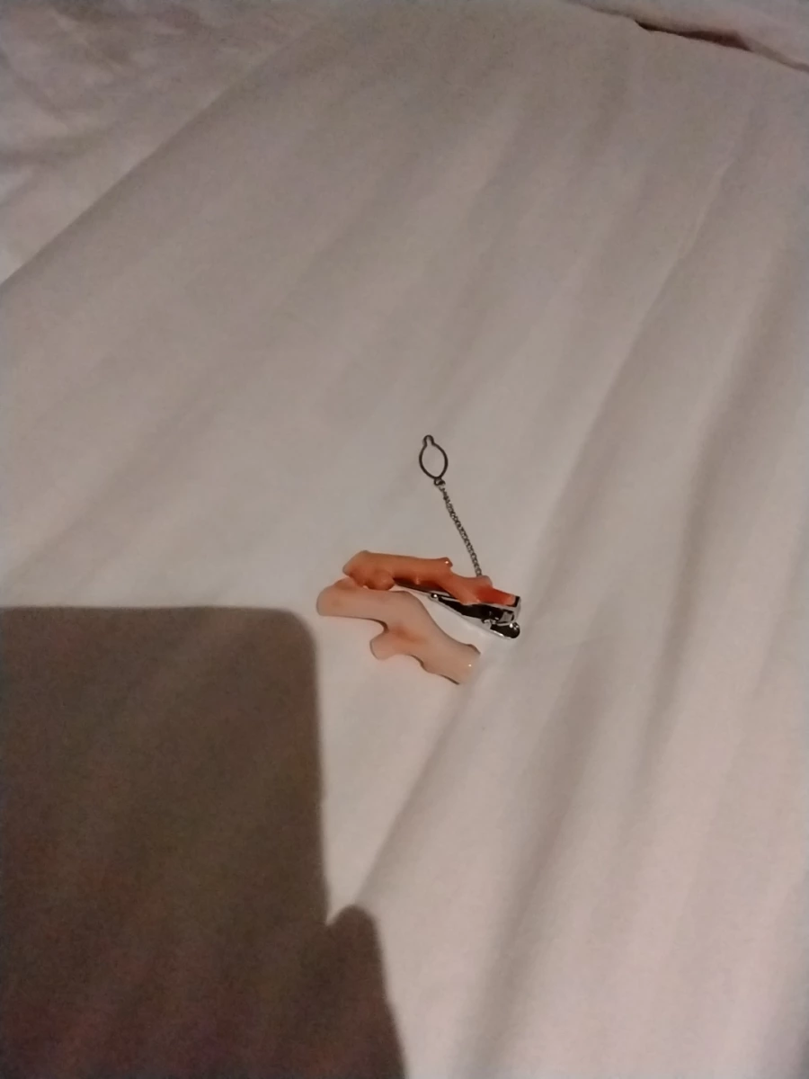 珊瑚領帶夾