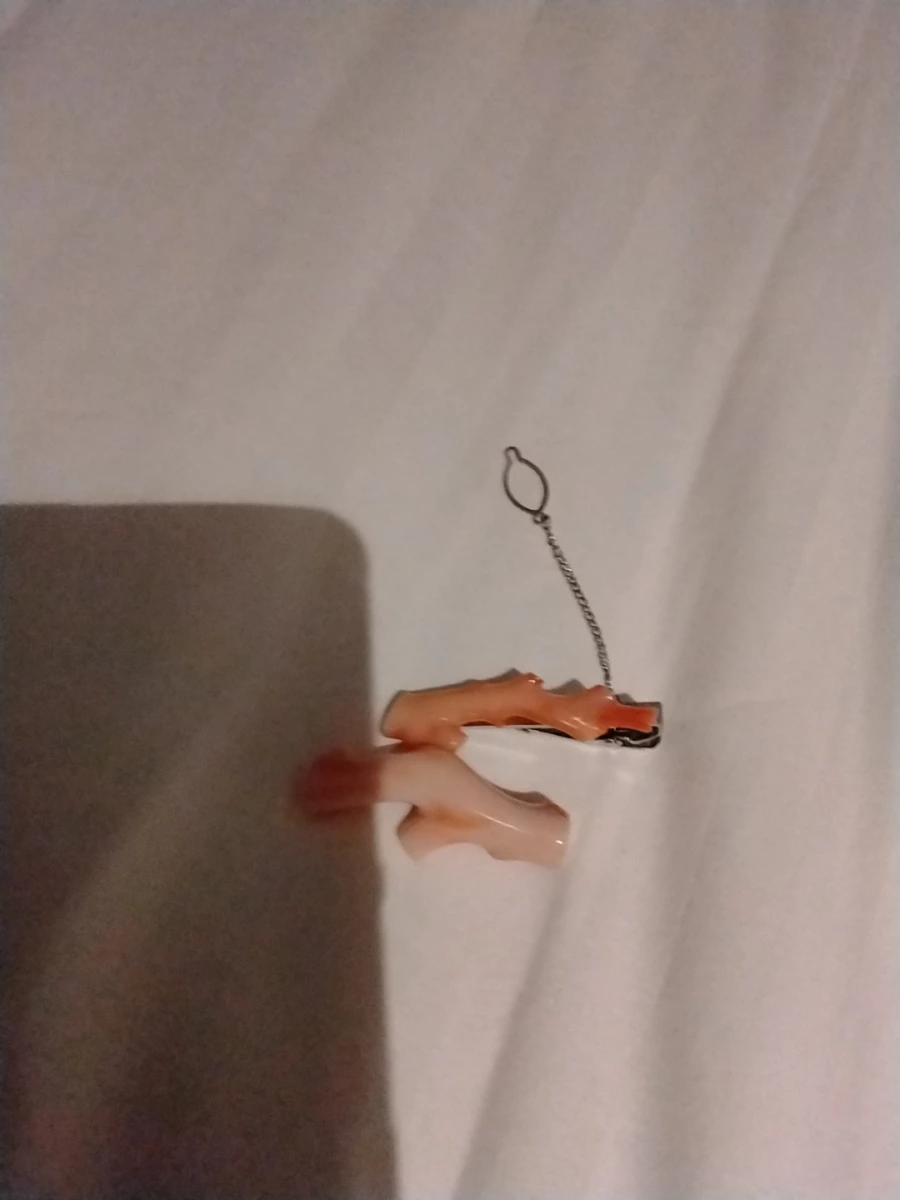 珊瑚飾品與珊瑚片段