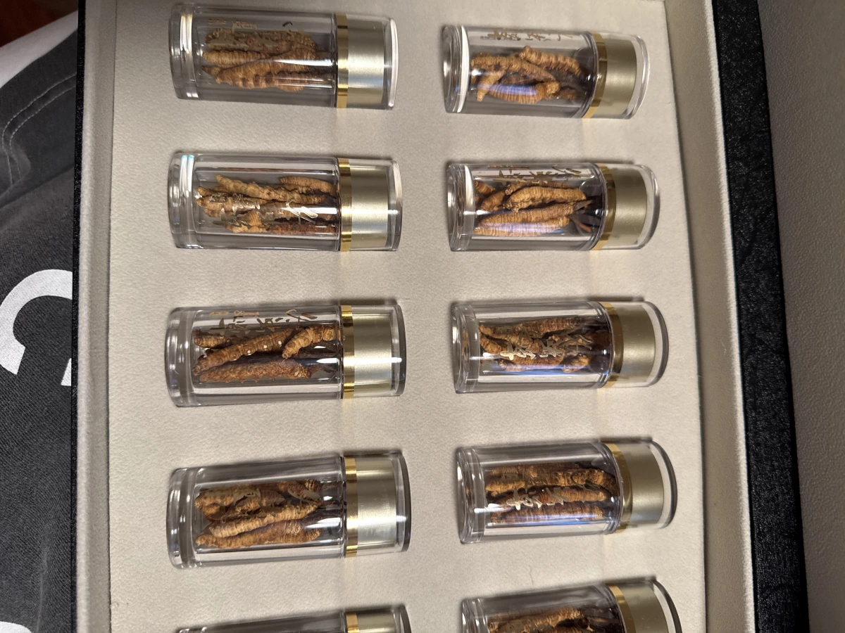 乾燥冬蟲夏草 (Cordyceps sinensis)