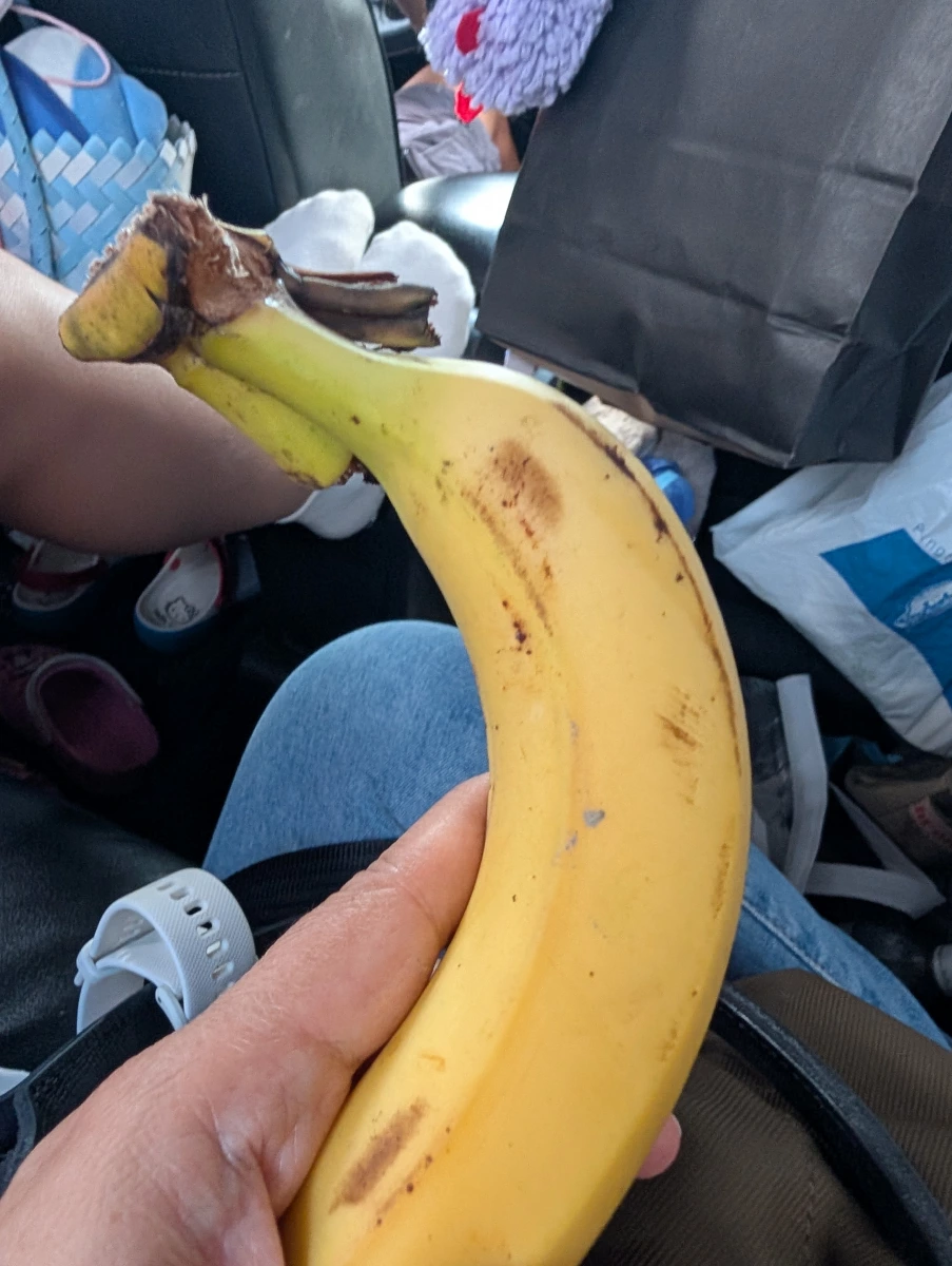 新鮮香蕉