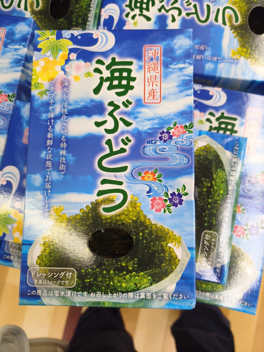 沖繩海葡萄（鹽水漬）