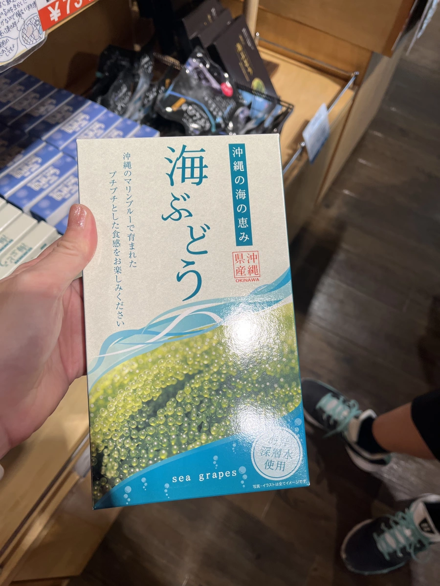 沖繩海葡萄伴手禮盒