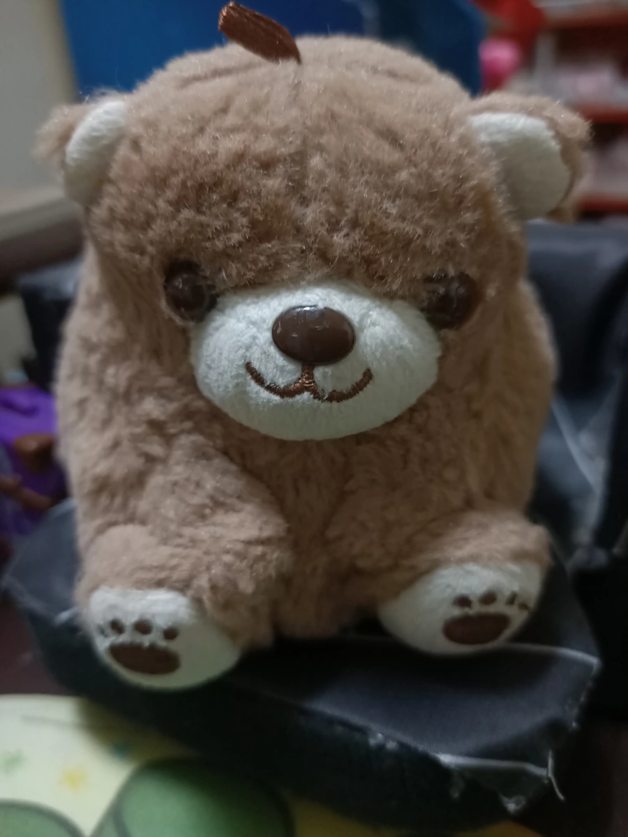 絨毛玩偶（小熊）