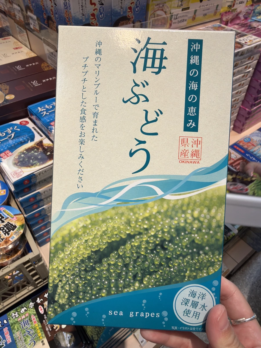 沖繩海葡萄 (Sea Grapes)