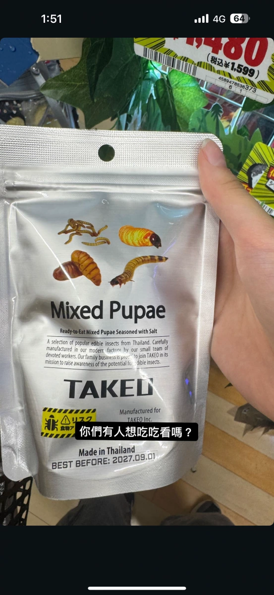 TAKEO 綜合昆蟲蛹零食 (Mixed Pupae)