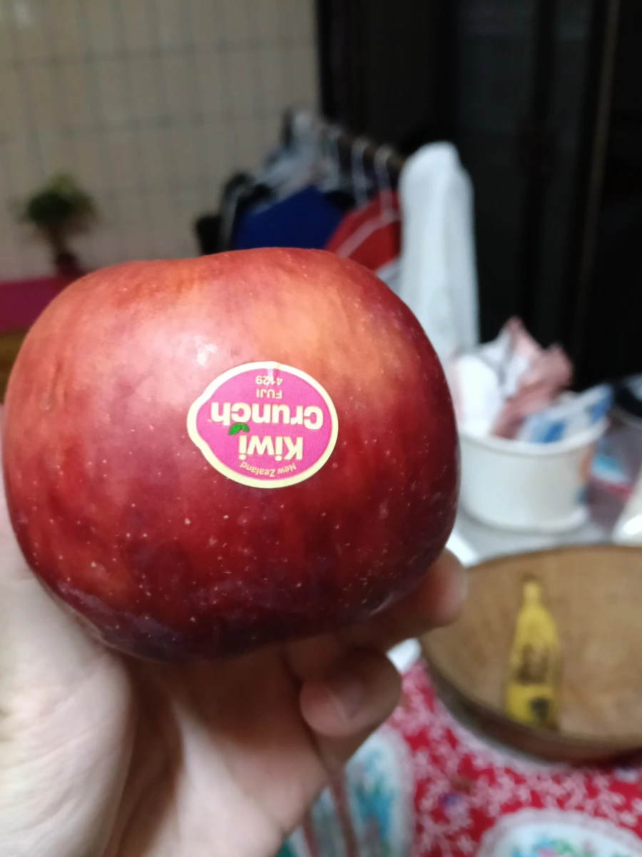 物品照片